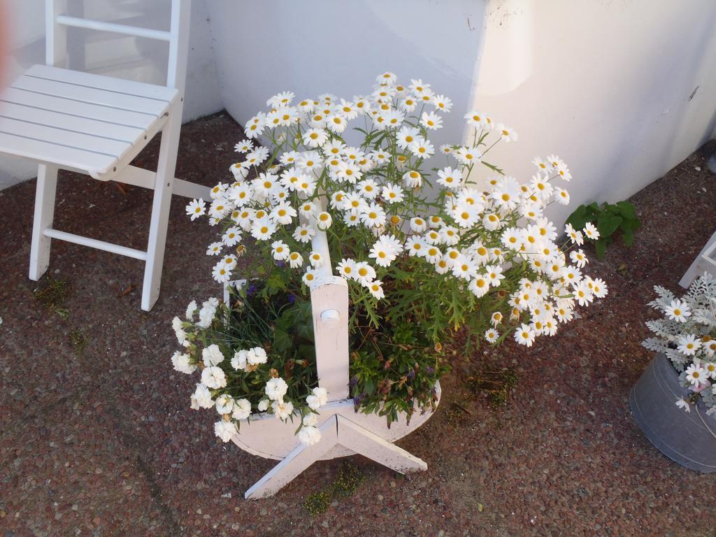 Oddevej 20 Skagen Hotel ภายนอก รูปภาพ